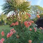 Bed & Breakfast La Bastide Du Moulin - Mont St Michel