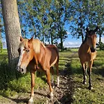 La Bastide Du Moulin - Mont St Michel Bed & Breakfast