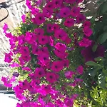 Bed & Breakfast La Bastide Du Moulin - Mont St Michel Moidrey
