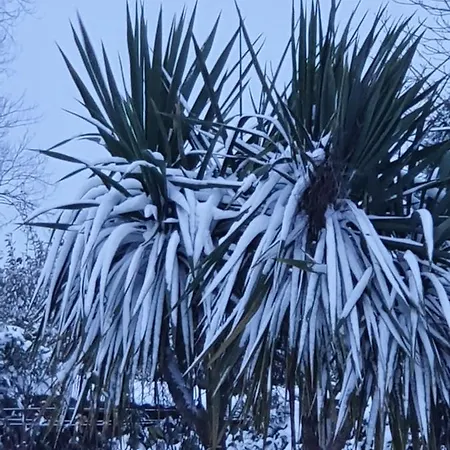 La Bastide Du Moulin - Mont St Michel Bed & Breakfast Moidrey