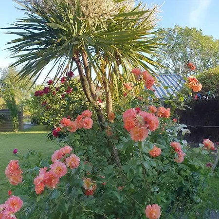 Bed & Breakfast La Bastide Du Moulin - Mont St Michel
