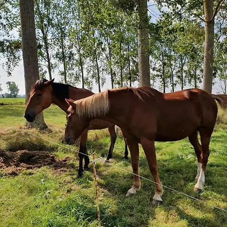 La Bastide Du Moulin - Mont St Michel Moidrey