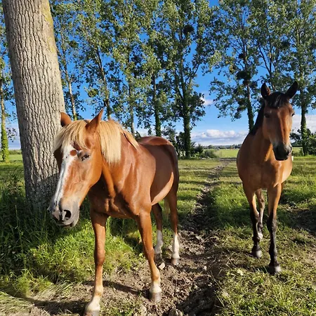 La Bastide Du Moulin - Mont St Michel Alojamento de Acomodação e Pequeno-almoço