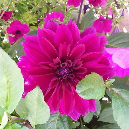 La Bastide Du Moulin - Mont St Michel Alojamento de Acomodação e Pequeno-almoço 3*