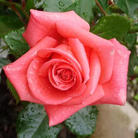 La Bastide Du Moulin - Mont St Michel