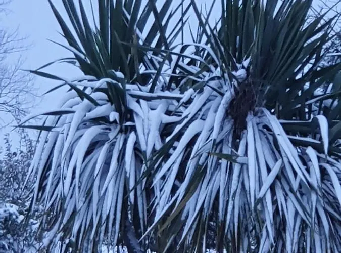 La Bastide Du Moulin - Mont St Michel Bed and Breakfast Moidrey