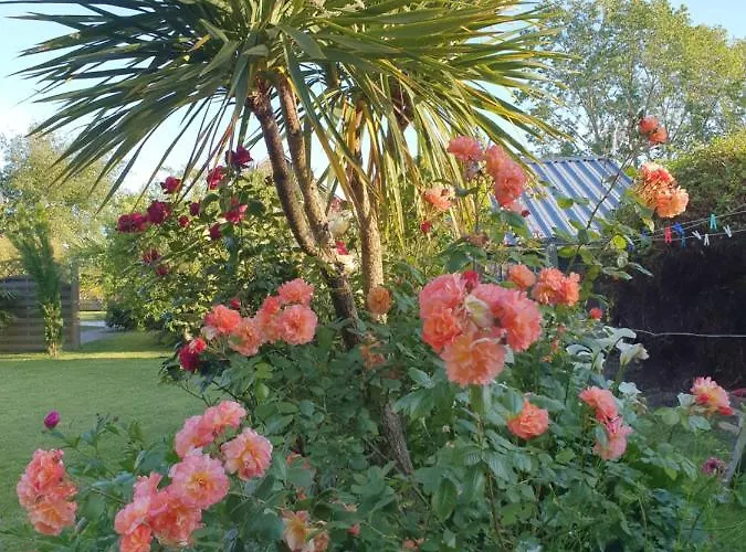 Bed & Breakfast La Bastide Du Moulin - Mont St Michel