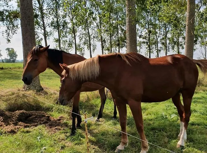 La Bastide Du Moulin - Mont St Michel Moidrey