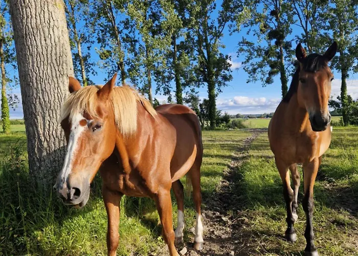 La Bastide Du Moulin - Mont St Michel Nocleg ze śniadaniem