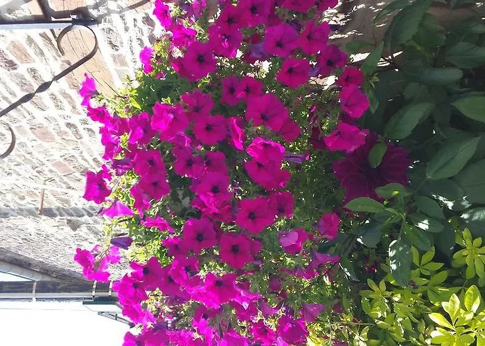 Bed & Breakfast La Bastide Du Moulin - Mont St Michel Moidrey