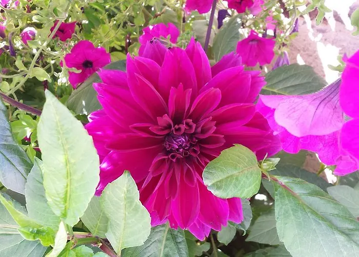 La Bastide Du Moulin - Mont St Michel Bed & Breakfast 3*