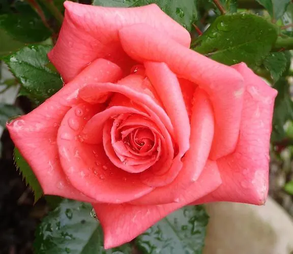 La Bastide Du Moulin - Mont St Michel
